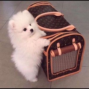 Meet your Posher, Edith